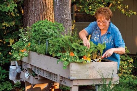 Country Lore: A Terrific Tabletop Garden Image